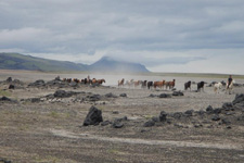 Iceland-Highland Tours-Between Glaciers into the Desert